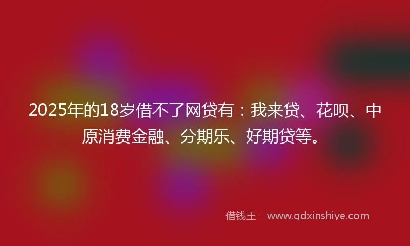 2025年的18岁借不了网贷有：我来贷、花呗、中原消费金融、分期乐、好期贷等。