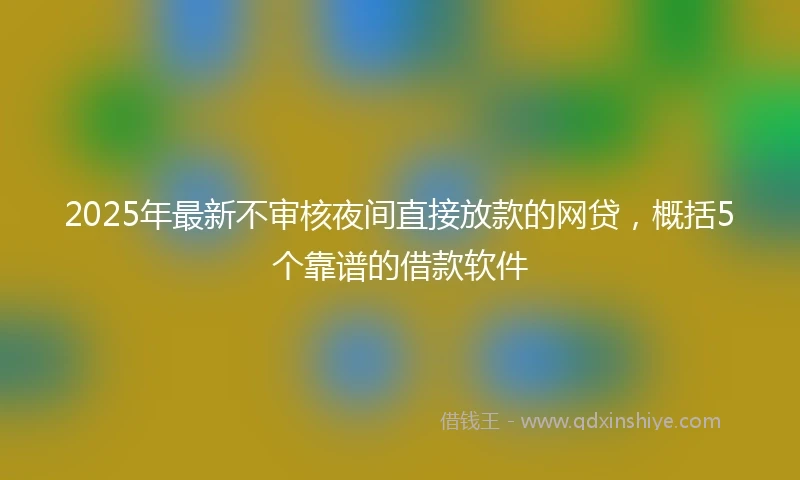 2025年最新不审核夜间直接放款的网贷，概括5个靠谱的借款软件