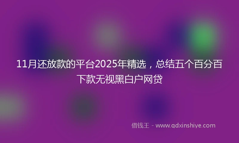 11月还放款的平台2025年精选，总结五个百分百下款无视黑白户网贷
