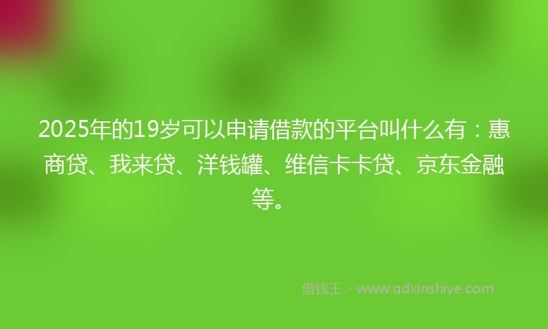 2025年的19岁可以申请借款的平台叫什么有：惠商贷、我来贷、洋钱罐、维信卡卡贷、京东金融等。