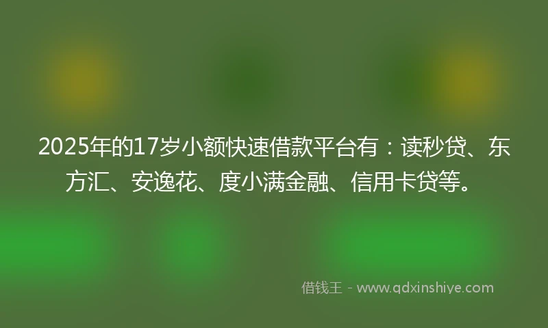 2025年的17岁小额快速借款平台有：读秒贷、东方汇、安逸花、度小满金融、信用卡贷等。