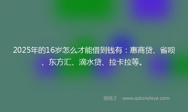 2025年的16岁怎么才能借到钱有：惠商贷、省呗、东方汇、滴水贷、拉卡拉等。