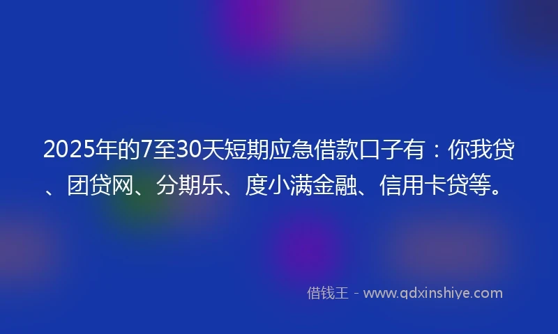 2025年的7至30天短期应急借款口子有：你我贷、团贷网、分期乐、度小满金融、信用卡贷等。