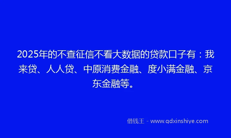 2025年的不查征信不看大数据的贷款口子有：我来贷、人人贷、中原消费金融、度小满金融、京东金融等。