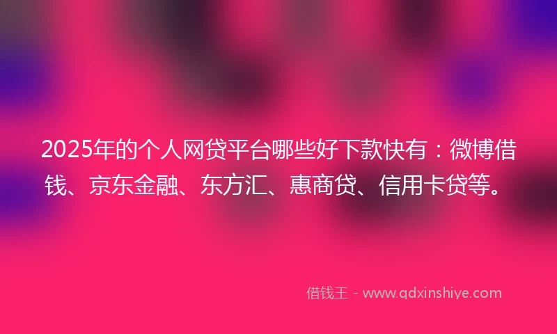 2025年的个人网贷平台哪些好下款快有：微博借钱、京东金融、东方汇、惠商贷、信用卡贷等。