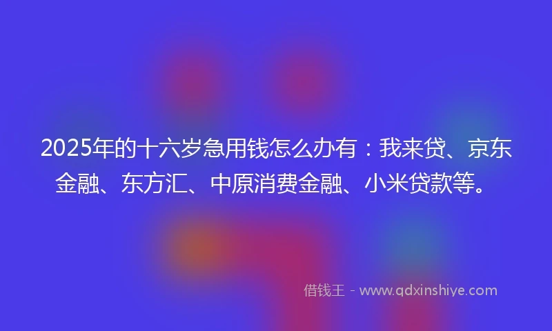 2025年的十六岁急用钱怎么办有：我来贷、京东金融、东方汇、中原消费金融、小米贷款等。