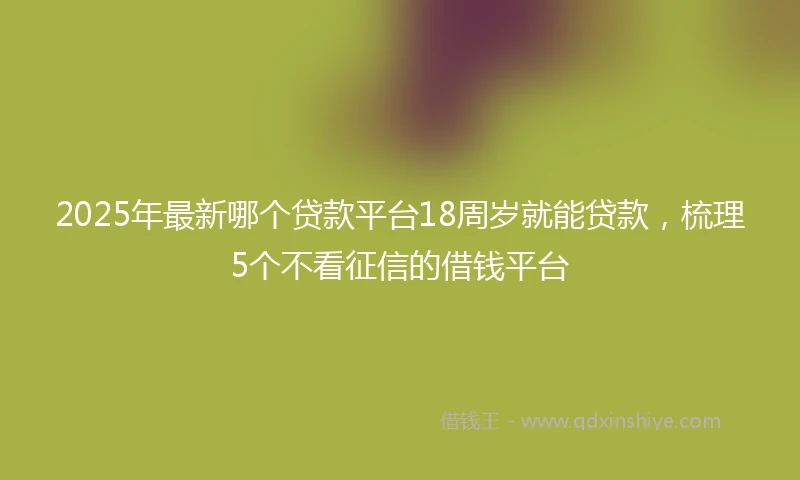 2025年最新哪个贷款平台18周岁就能贷款，梳理5个不看征信的借钱平台