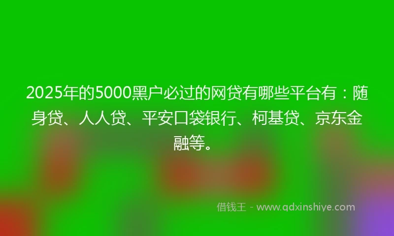 2025年的5000黑户必过的网贷有哪些平台有：随身贷、人人贷、平安口袋银行、柯基贷、京东金融等。