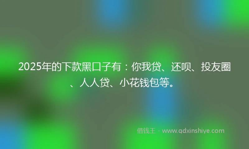 2025年的下款黑口子有：你我贷、还呗、投友圈、人人贷、小花钱包等。