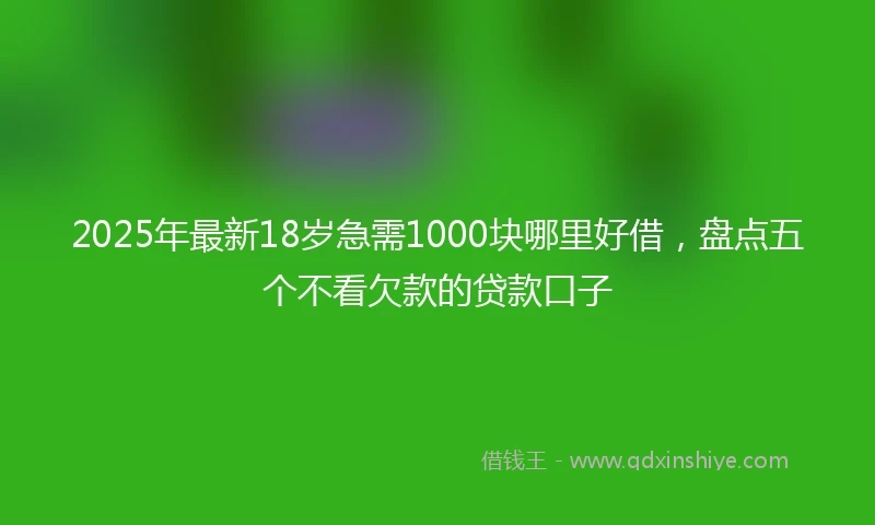 2025年最新18岁急需1000块哪里好借，盘点五个不看欠款的贷款口子