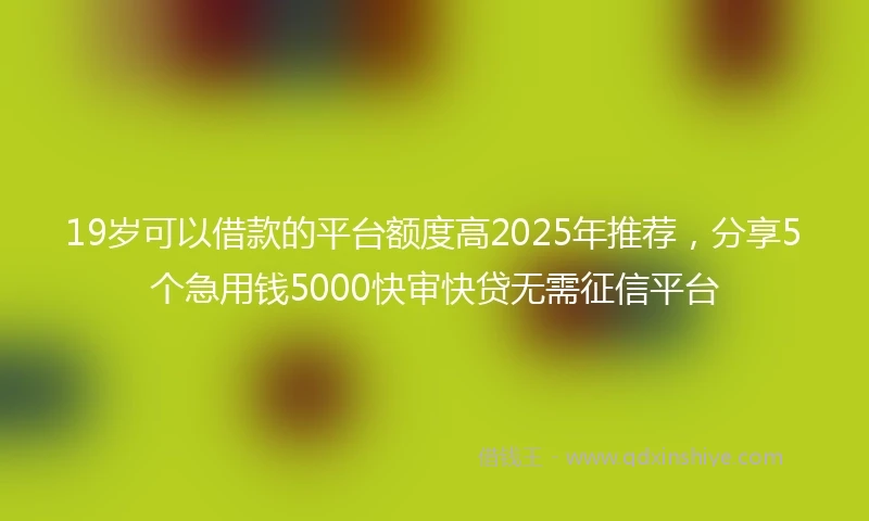19岁可以借款的平台额度高2025年推荐，分享5个急用钱5000快审快贷无需征信平台