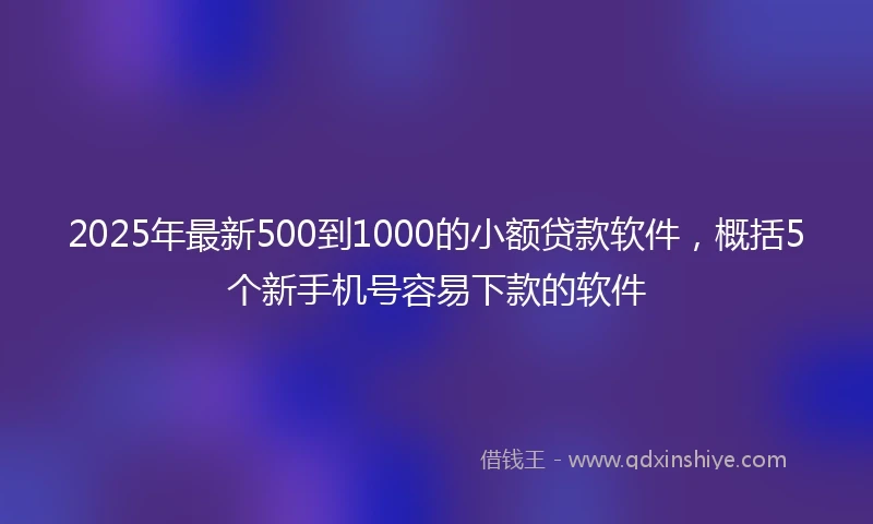 2025年最新500到1000的小额贷款软件，概括5个新手机号容易下款的软件