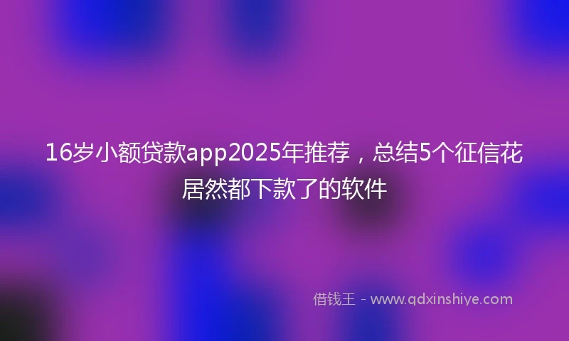 16岁小额贷款app2025年推荐，总结5个征信花居然都下款了的软件