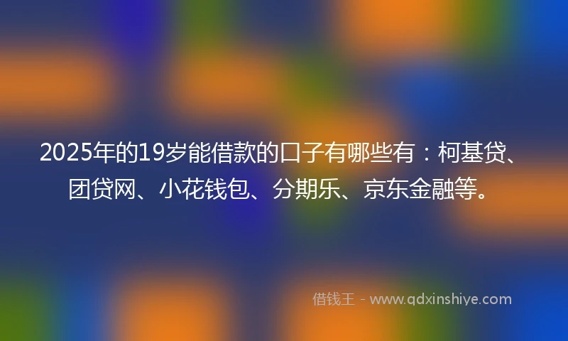 2025年的19岁能借款的口子有哪些有：柯基贷、团贷网、小花钱包、分期乐、京东金融等。