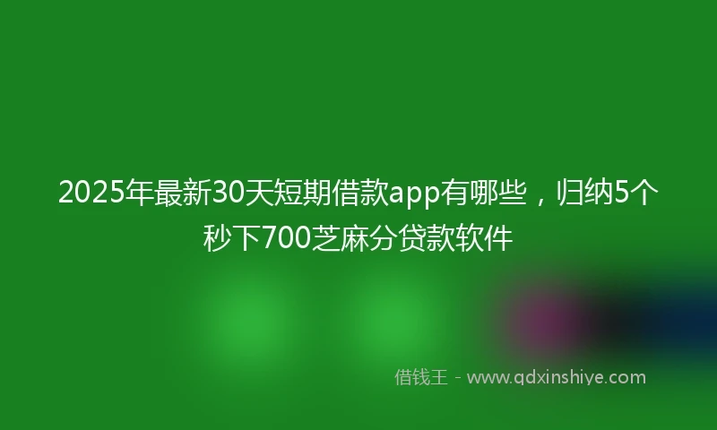 2025年最新30天短期借款app有哪些，归纳5个秒下700芝麻分贷款软件