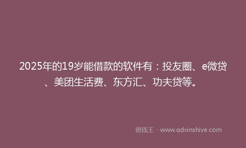 2025年的19岁能借款的软件有：投友圈、e微贷、美团生活费、东方汇、功夫贷等。