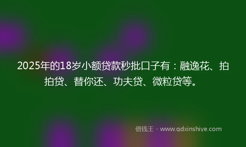 2025年的18岁小额贷款秒批口子有：融逸花、拍拍贷、替你还、功夫贷、微粒贷等。