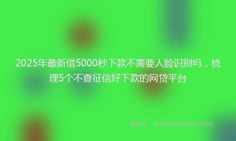 2025年最新借5000秒下款不需要人脸识别吗，梳理5个不查征信好下款的网贷平台