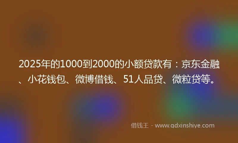 2025年的1000到2000的小额贷款有：京东金融、小花钱包、微博借钱、51人品贷、微粒贷等。