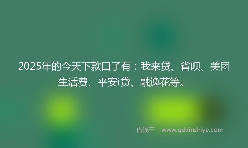 2025年的今天下款口子有：我来贷、省呗、美团生活费、平安i贷、融逸花等。