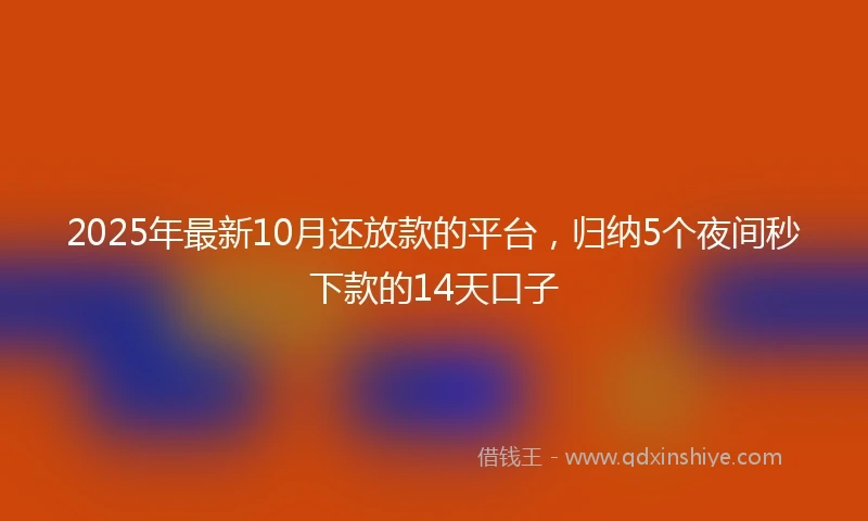 2025年最新10月还放款的平台，归纳5个夜间秒下款的14天口子