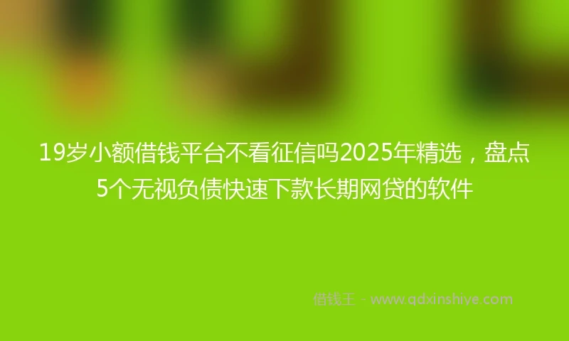 19岁小额借钱平台不看征信吗2025年精选，盘点5个无视负债快速下款长期网贷的软件