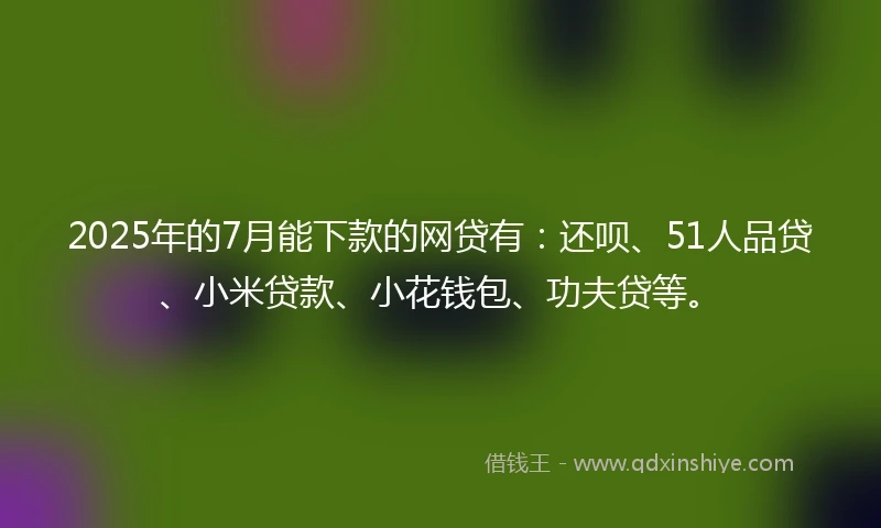 2025年的7月能下款的网贷有：还呗、51人品贷、小米贷款、小花钱包、功夫贷等。