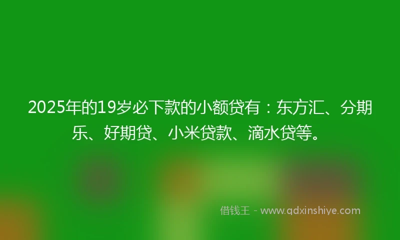 2025年的19岁必下款的小额贷有：东方汇、分期乐、好期贷、小米贷款、滴水贷等。
