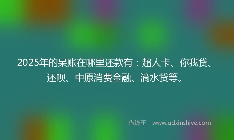 2025年的呆账在哪里还款有：超人卡、你我贷、还呗、中原消费金融、滴水贷等。