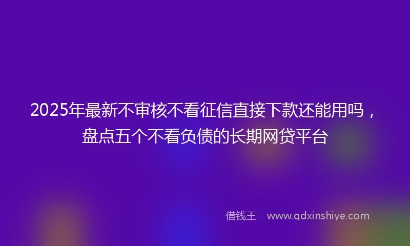 2025年最新不审核不看征信直接下款还能用吗，盘点五个不看负债的长期网贷平台