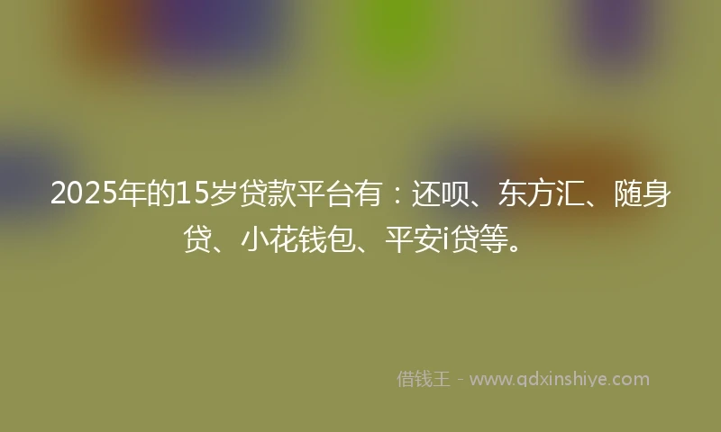 2025年的15岁贷款平台有：还呗、东方汇、随身贷、小花钱包、平安i贷等。