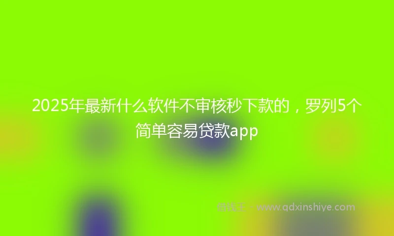 2025年最新什么软件不审核秒下款的，罗列5个简单容易贷款app