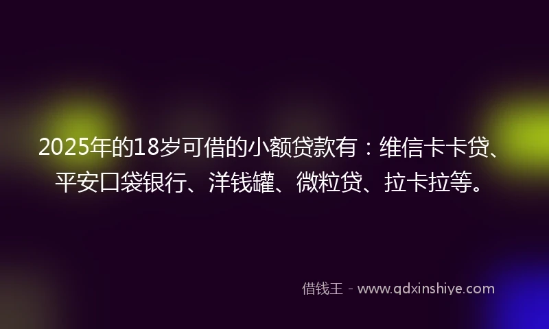 2025年的18岁可借的小额贷款有：维信卡卡贷、平安口袋银行、洋钱罐、微粒贷、拉卡拉等。