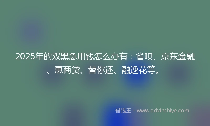 2025年的双黑急用钱怎么办有：省呗、京东金融、惠商贷、替你还、融逸花等。
