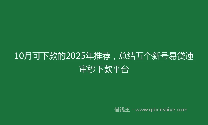 10月可下款的2025年推荐，总结五个新号易贷速审秒下款平台