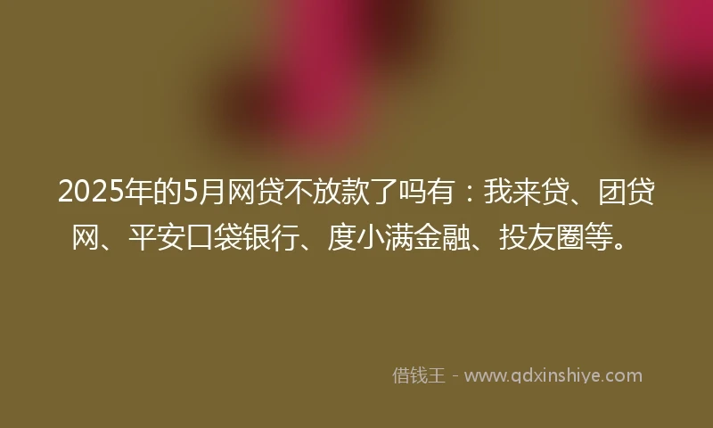 2025年的5月网贷不放款了吗有：我来贷、团贷网、平安口袋银行、度小满金融、投友圈等。