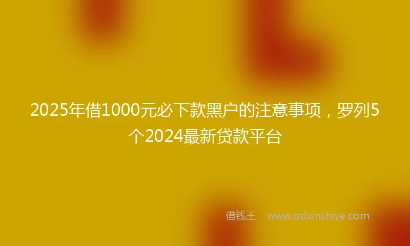 2025年借1000元必下款黑户的注意事项，罗列5个2024最新贷款平台