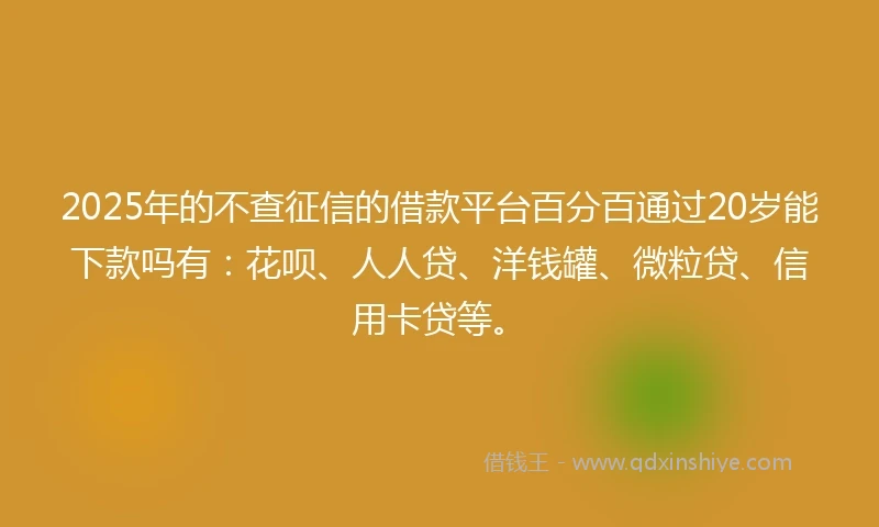 2025年的不查征信的借款平台百分百通过20岁能下款吗有：花呗、人人贷、洋钱罐、微粒贷、信用卡贷等。