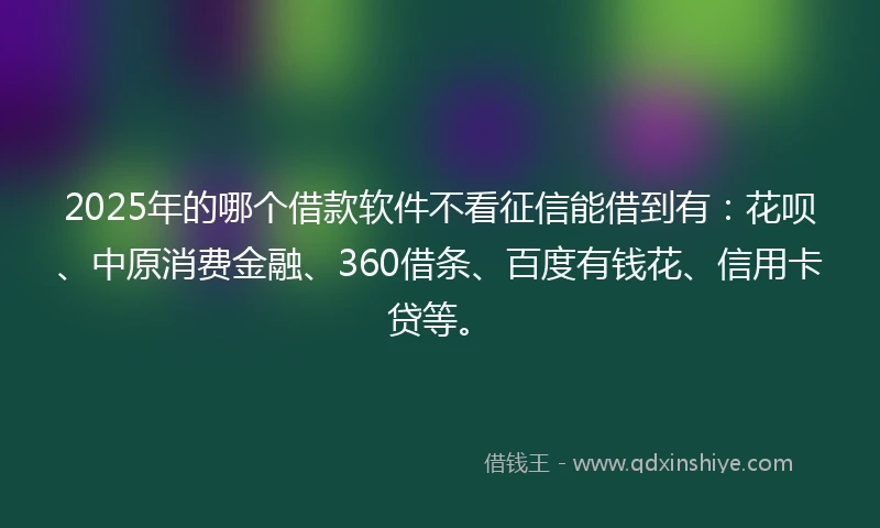 2025年的哪个借款软件不看征信能借到有：花呗、中原消费金融、360借条、百度有钱花、信用卡贷等。