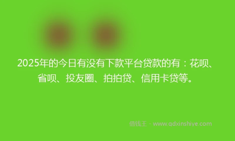 2025年的今日有没有下款平台贷款的有：花呗、省呗、投友圈、拍拍贷、信用卡贷等。