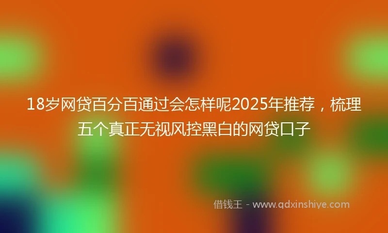 18岁网贷百分百通过会怎样呢2025年推荐，梳理五个真正无视风控黑白的网贷口子