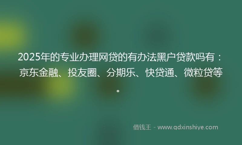 2025年的专业办理网贷的有办法黑户贷款吗有：京东金融、投友圈、分期乐、快贷通、微粒贷等。