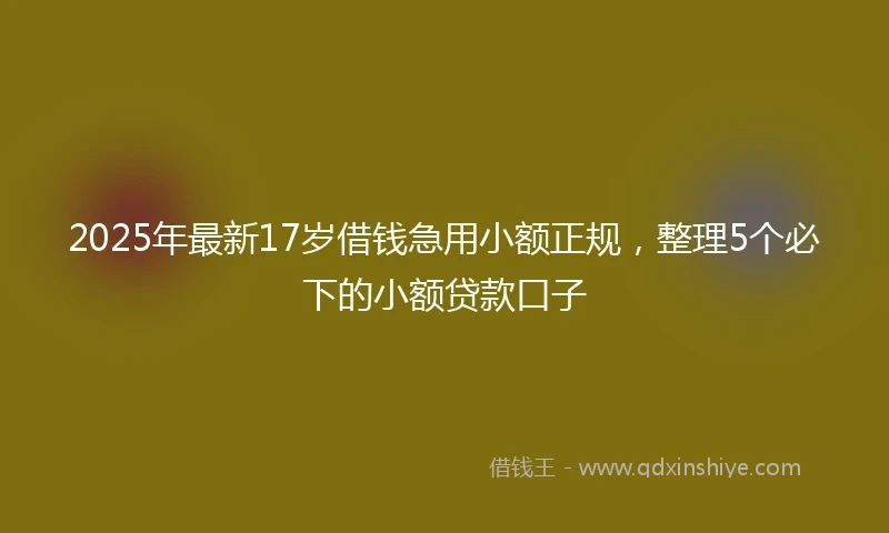2025年最新17岁借钱急用小额正规，整理5个必下的小额贷款口子