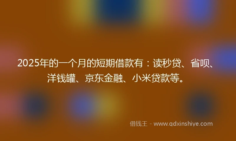2025年的一个月的短期借款有：读秒贷、省呗、洋钱罐、京东金融、小米贷款等。