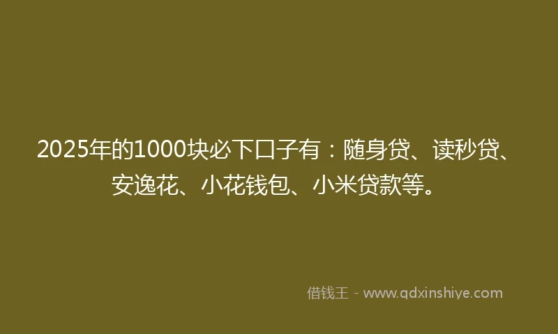 2025年的1000块必下口子有：随身贷、读秒贷、安逸花、小花钱包、小米贷款等。