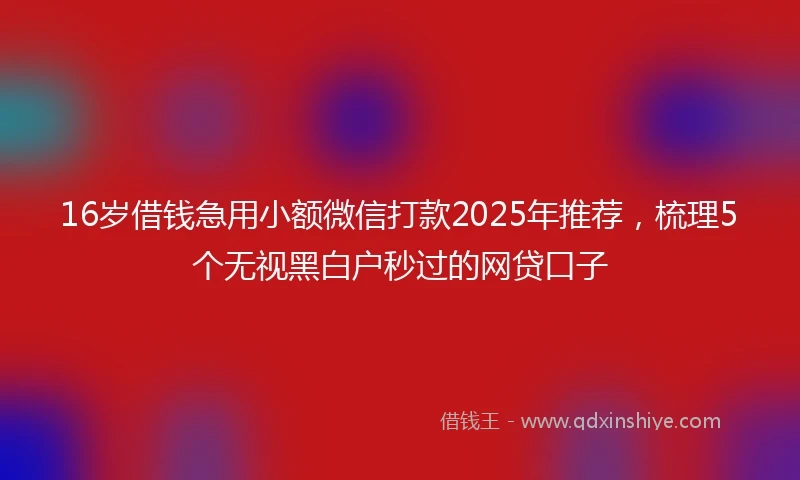 16岁借钱急用小额微信打款2025年推荐，梳理5个无视黑白户秒过的网贷口子