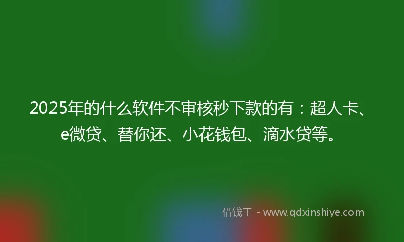 2025年的什么软件不审核秒下款的有：超人卡、e微贷、替你还、小花钱包、滴水贷等。