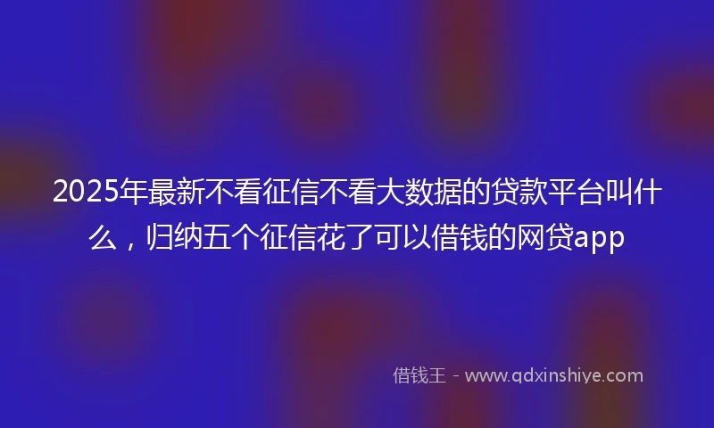 2025年最新不看征信不看大数据的贷款平台叫什么，归纳五个征信花了可以借钱的网贷app