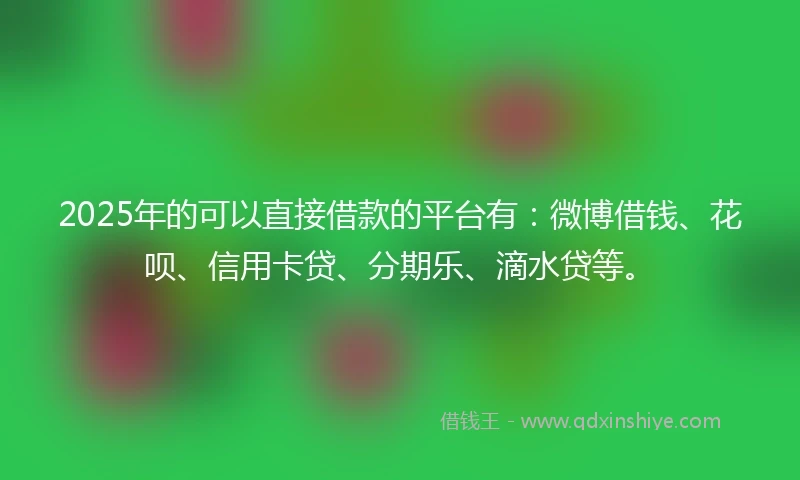 2025年的可以直接借款的平台有：微博借钱、花呗、信用卡贷、分期乐、滴水贷等。