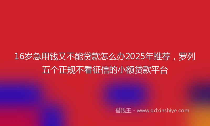 16岁急用钱又不能贷款怎么办2025年推荐，罗列五个正规不看征信的小额贷款平台